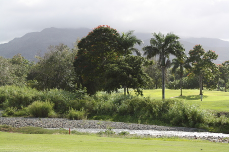 Jim Ratliff's album, Puerto Rico