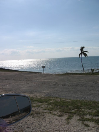 A view of the Fl. Keys from the Harley