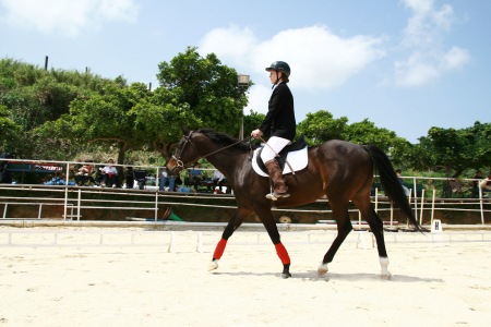 Mihara Dressage Test