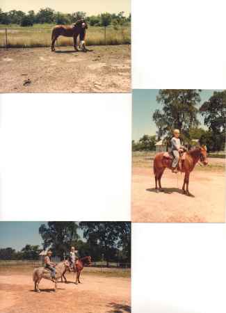 Stephen & Michael Hemingway