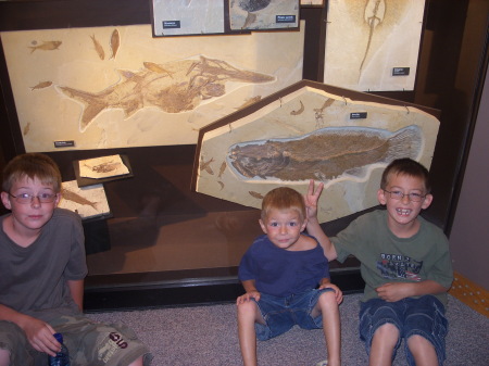Fossil Hunting in Wyoming