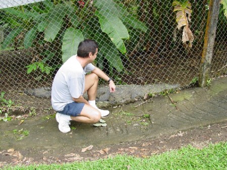 Costa Rican croc & me '06
