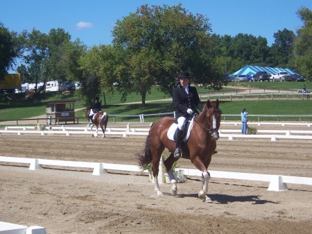 My horse Osiris and I at a horse show