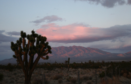 magic hour palm desert