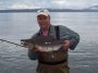 Alaska 2004 Pink Salmon