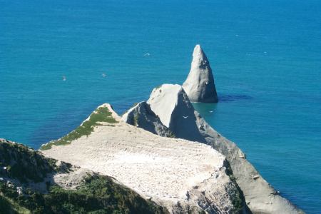 Cape Kidnappers near Hawke's Bay, NZ