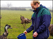 Feeding the Emu