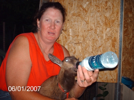 first feedof my baby goat