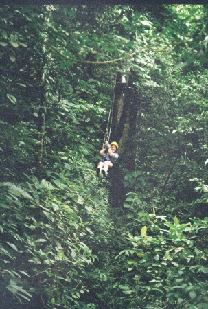 Zip Line in the Jungle