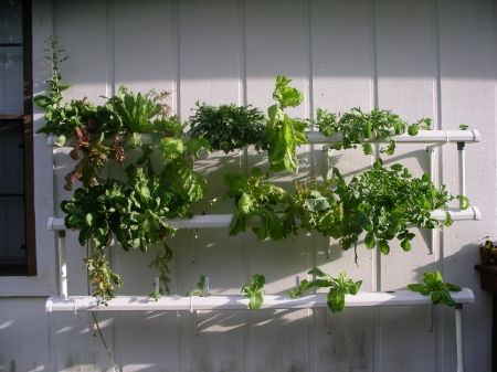 NFT Wall-mounted hydroponic system...