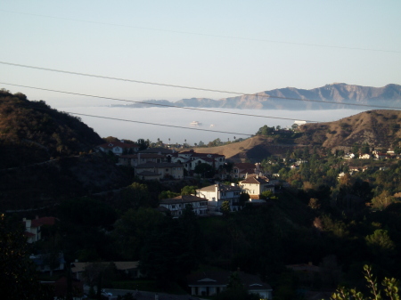 View of Glendale from where I live in the foothills of L.A.