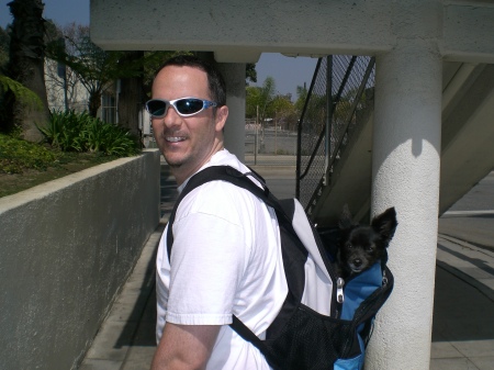 Doggy in the backpack...