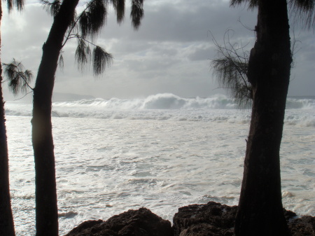 Hawaii (Oahu) North Shore