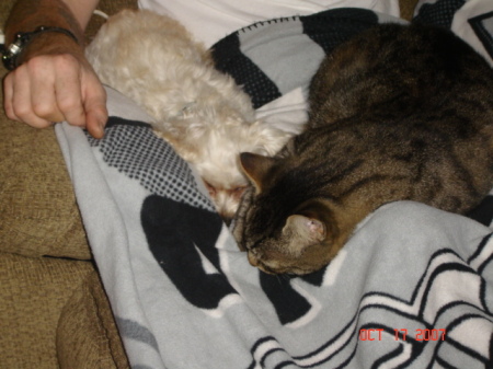 MY OTHER BABIES , MY DOG AND CAT