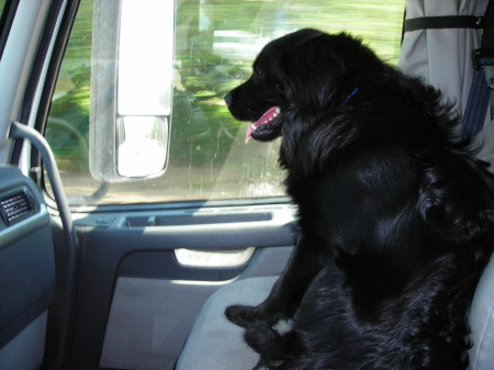 Duke, our travelling companion