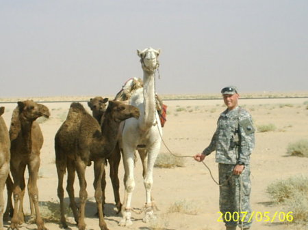 Me with the camels