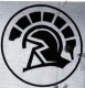 Reunion icon