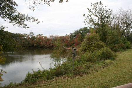 Fall settles on our place.