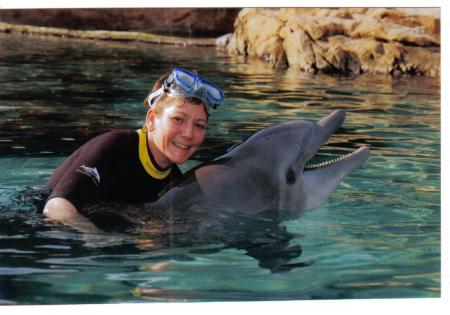 discovery cove 2