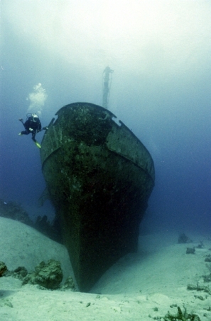 Diving in Honduras