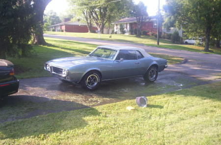 My baby. 1968 Firebird Convertible