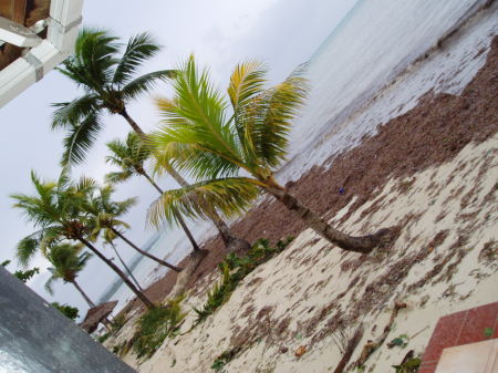 Beach After a Hurricane!