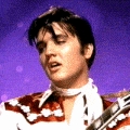 Elvis the Pelvis