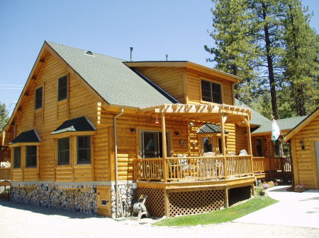 log cabin my son Zack and i built