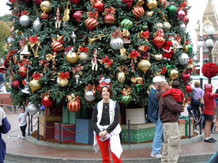 Disneyland at Christmas time