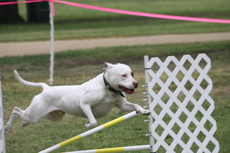 stoney jump