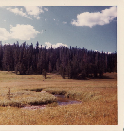 KP hiking in Teton Wilderness