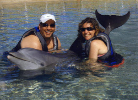 Swimming with the dolphins