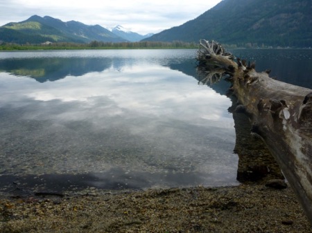 Patricia Drabkin's album, Lake Wenatchee, WA