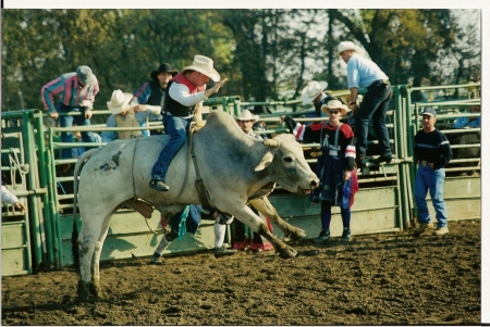 ride'n another bull