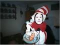 cat in the hat