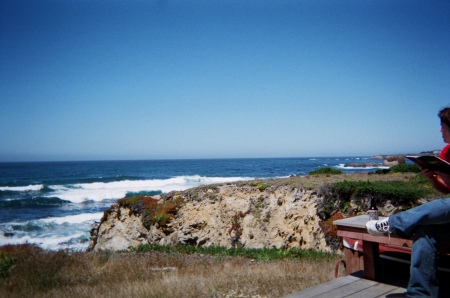 the view from the house in ft. bragg