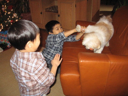 Grandchildren with dog, dog not happy