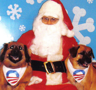 Buffy & Muffy Rock with Santa