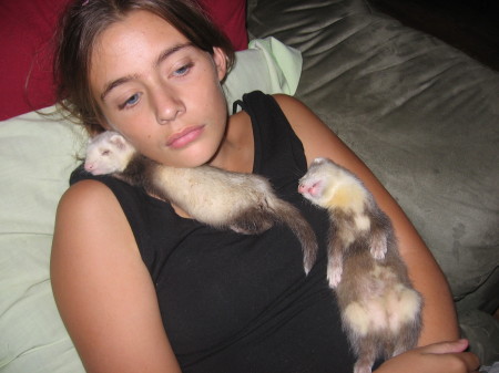 Marykate and her baby ferrets
