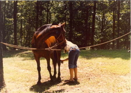 Who's the horses patooty?