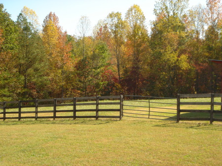 Fall colors on the farm...