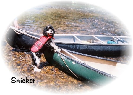 Snicker loves canoeing