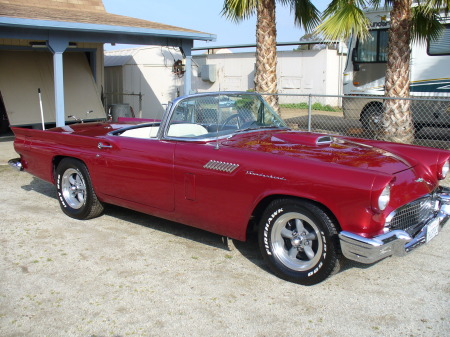 T-Bird