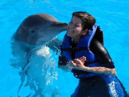 Swimming with dolphins