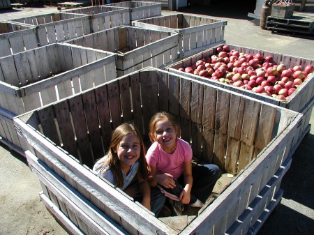 apple box