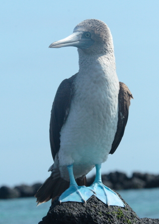 Galapagos Islands Sept 2007