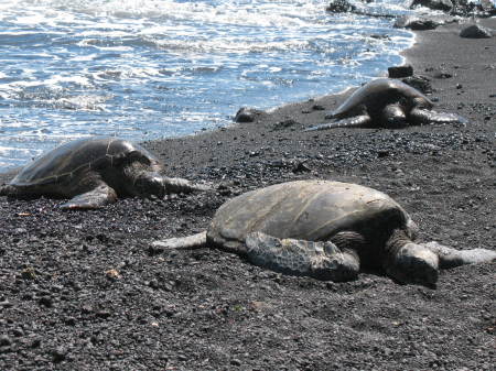 Black Sand Beach