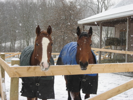 first snow at home