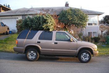 Car with Christmas tree on top