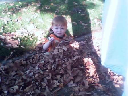 Andrew in the leaves